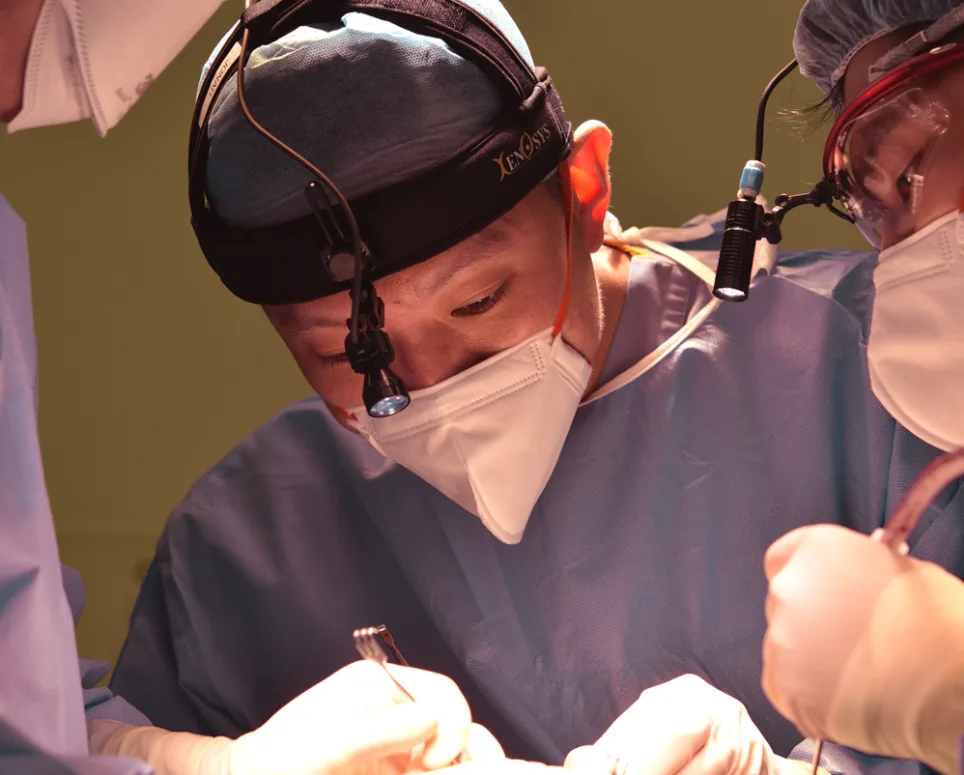 astrid plastic surgery surgeon